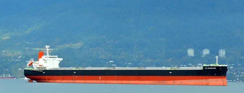 TOHMISAN MARU Bulk Carrier IMO 9609471 photo 6