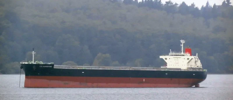 TOHMISAN MARU Bulk Carrier IMO 9609471 photo 7