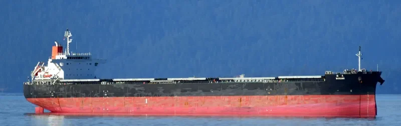 MINAMI Bulk Carrier IMO 9609483