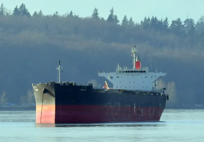 MINAMI Bulk Carrier IMO 9609483 photo 2