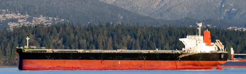MINAMI Bulk Carrier IMO 9609483 photo 3