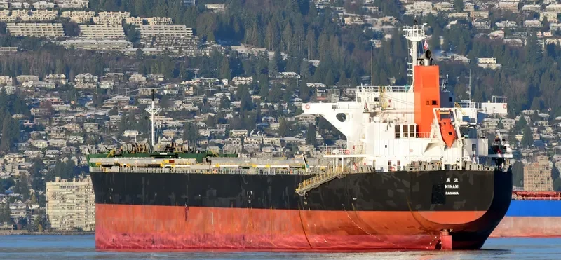 MINAMI Bulk Carrier IMO 9609483 photo 4