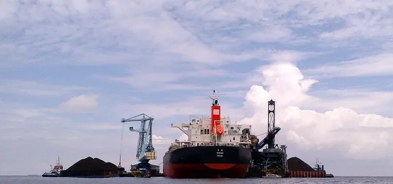 MINAMI Bulk Carrier IMO 9609483 photo 8