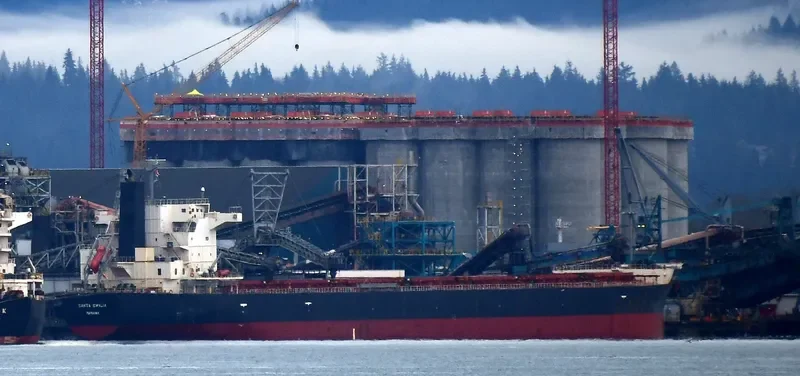 SANTA EMILIA Bulk Carrier IMO 9609524 photo 2