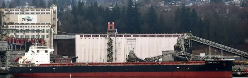 SANTA EMILIA Bulk Carrier IMO 9609524 photo 3