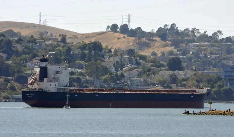 SANTA EMILIA Bulk Carrier IMO 9609524 photo 8