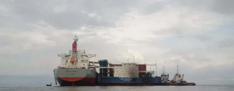 SCARLET ROSELLA Bulk Carrier IMO 9609627 photo 4