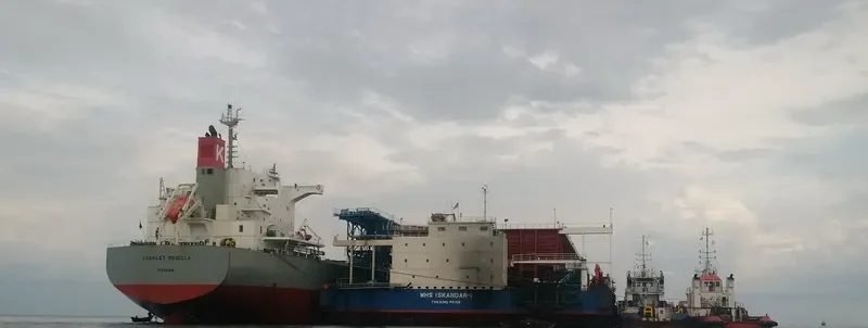 SCARLET ROSELLA Bulk Carrier IMO 9609627 photo 5