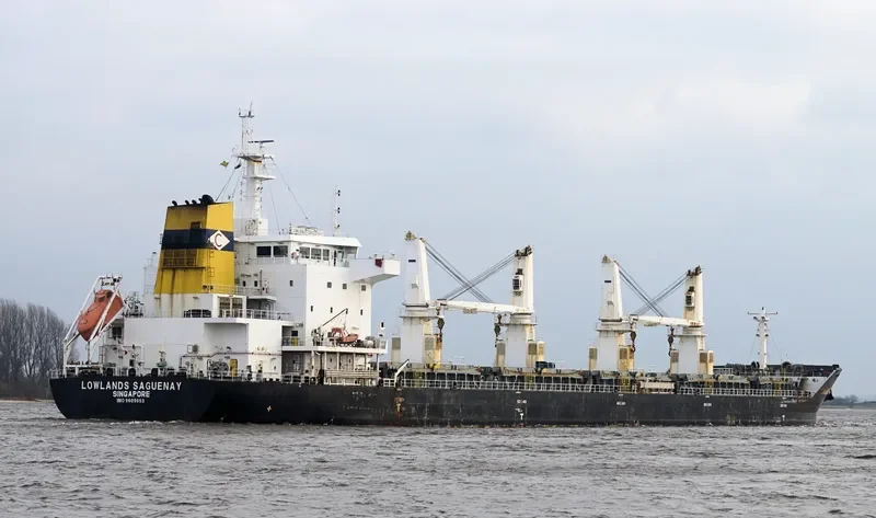 FEDERAL YELLOWSTONE Bulk Carrier IMO 9609653