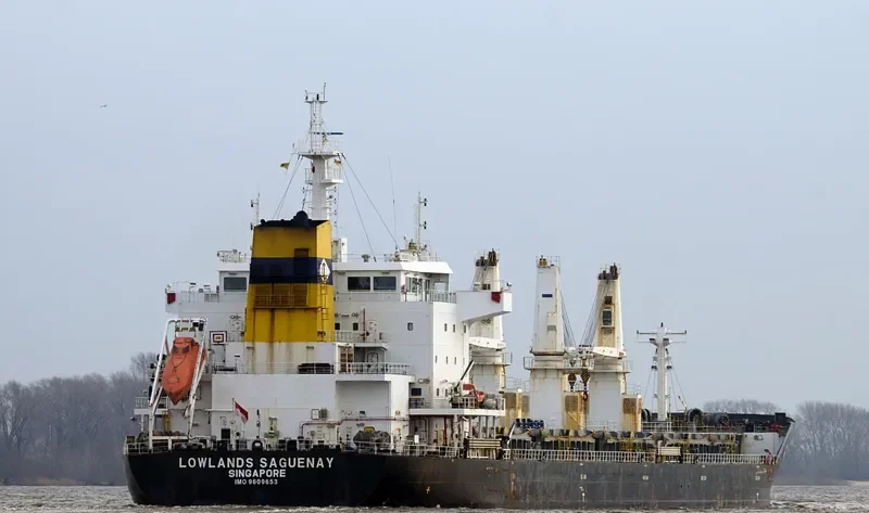 FEDERAL YELLOWSTONE Bulk Carrier IMO 9609653 photo 2
