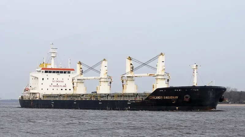FEDERAL YELLOWSTONE Bulk Carrier IMO 9609653 photo 3