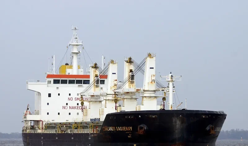 FEDERAL YELLOWSTONE Bulk Carrier IMO 9609653 photo 4