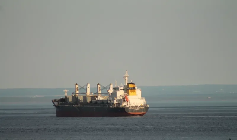 FEDERAL YELLOWSTONE Bulk Carrier IMO 9609653 photo 6