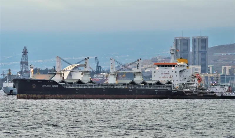 FEDERAL YAMASKA Bulk Carrier IMO 9609665