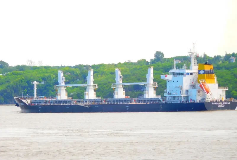 FEDERAL YAMASKA Bulk Carrier IMO 9609665 photo 2