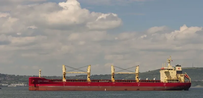 FEDERAL YAMASKA Bulk Carrier IMO 9609665 photo 6