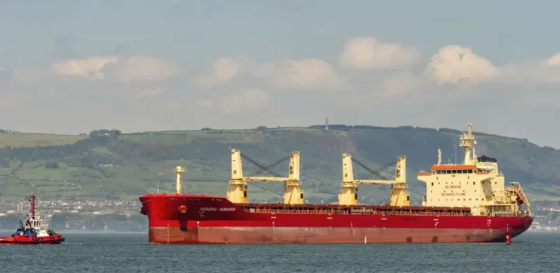 FEDERAL YAMASKA Bulk Carrier IMO 9609665 photo 7