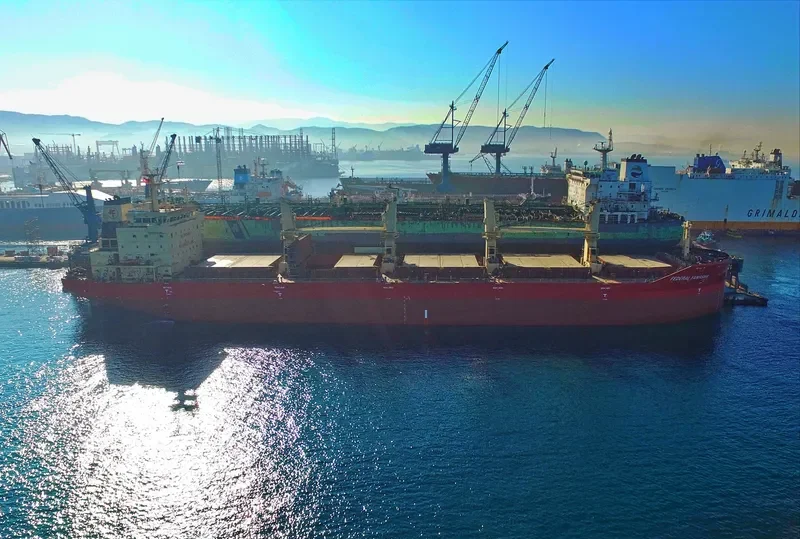 FEDERAL YAMASKA Bulk Carrier IMO 9609665 photo 10