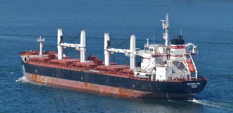 PABARI Bulk Carrier IMO 9609677