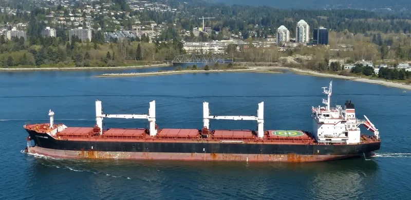 PABARI Bulk Carrier IMO 9609677 photo 2