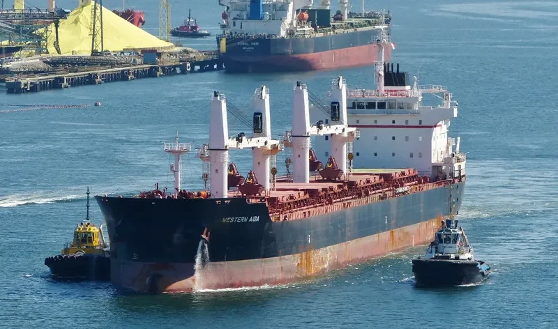 PABARI Bulk Carrier IMO 9609677 photo 3