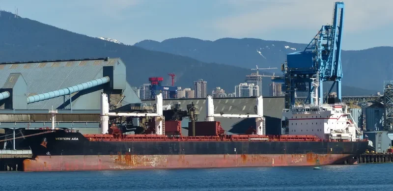 PABARI Bulk Carrier IMO 9609677 photo 4