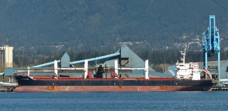 PABARI Bulk Carrier IMO 9609677 photo 5