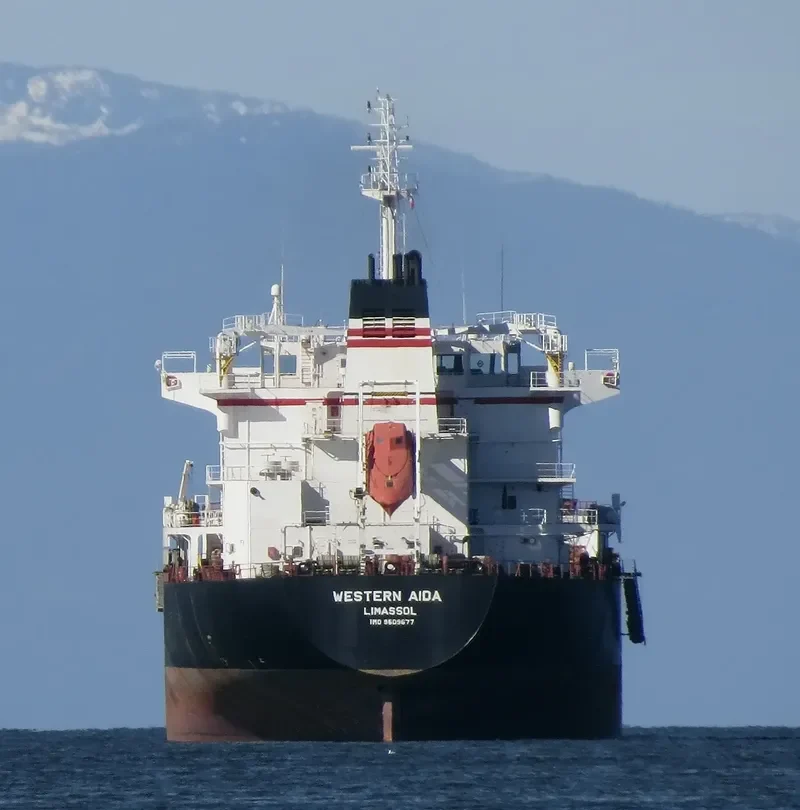 PABARI Bulk Carrier IMO 9609677 photo 6