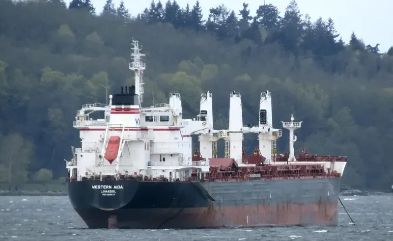 PABARI Bulk Carrier IMO 9609677 photo 7