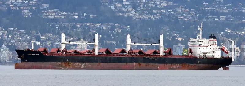 PABARI Bulk Carrier IMO 9609677 photo 8