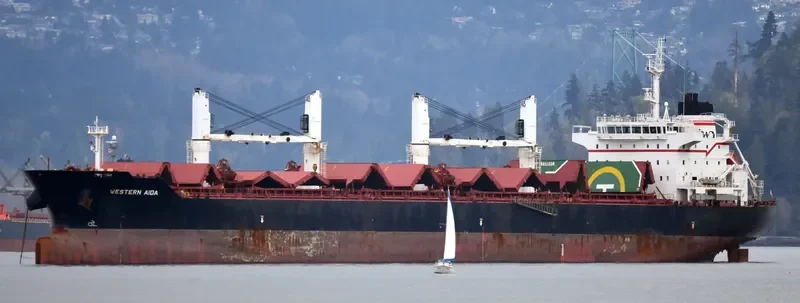 PABARI Bulk Carrier IMO 9609677 photo 9