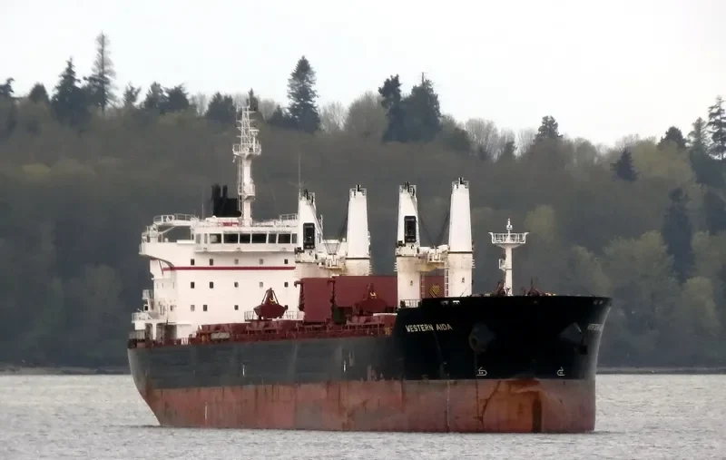 PABARI Bulk Carrier IMO 9609677 photo 10