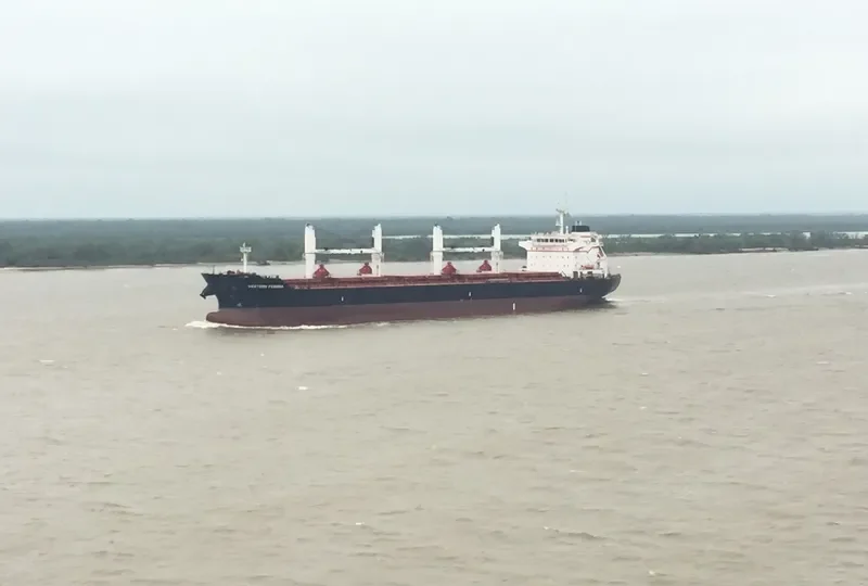 WESTERN FEDORA Bulk Carrier IMO 9609689 photo 2