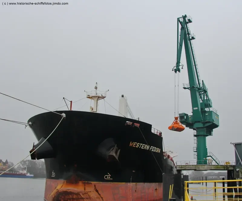 WESTERN FEDORA Bulk Carrier IMO 9609689 photo 3