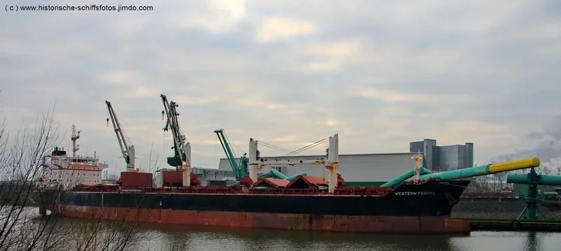 WESTERN FEDORA Bulk Carrier IMO 9609689 photo 6