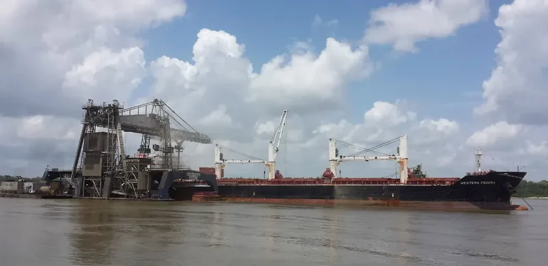 WESTERN FEDORA Bulk Carrier IMO 9609689 photo 7