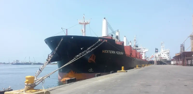 WESTERN FEDORA Bulk Carrier IMO 9609689 photo 8