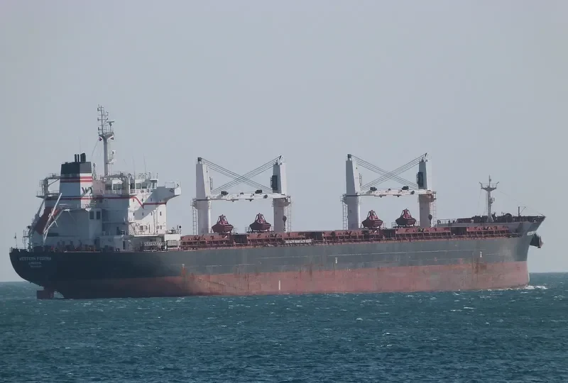 WESTERN FEDORA Bulk Carrier IMO 9609689 photo 9