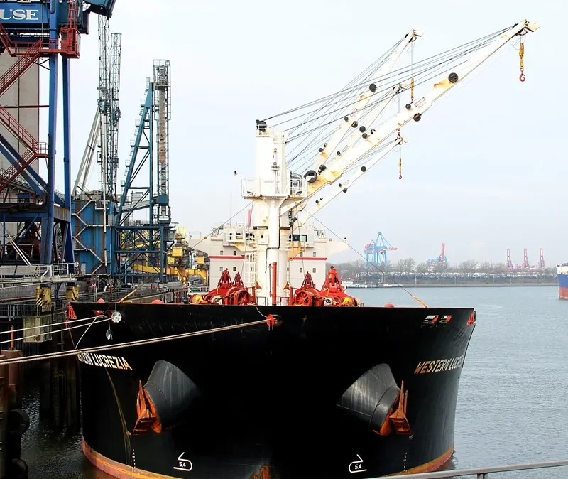 LANCASTER STRAIT Bulk Carrier IMO 9609706 photo 7