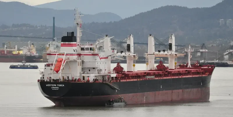 LIVERPOOL STRAIT Bulk Carrier IMO 9609718 photo 2