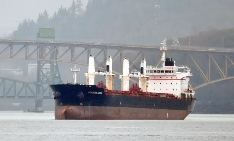 LIVERPOOL STRAIT Bulk Carrier IMO 9609718 photo 3