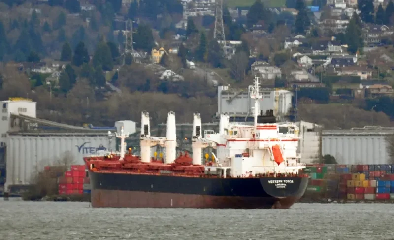 LIVERPOOL STRAIT Bulk Carrier IMO 9609718 photo 4