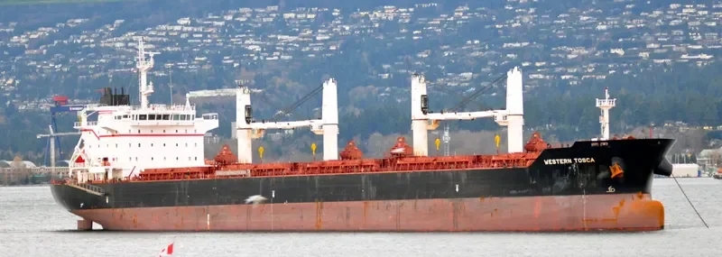 LIVERPOOL STRAIT Bulk Carrier IMO 9609718 photo 5