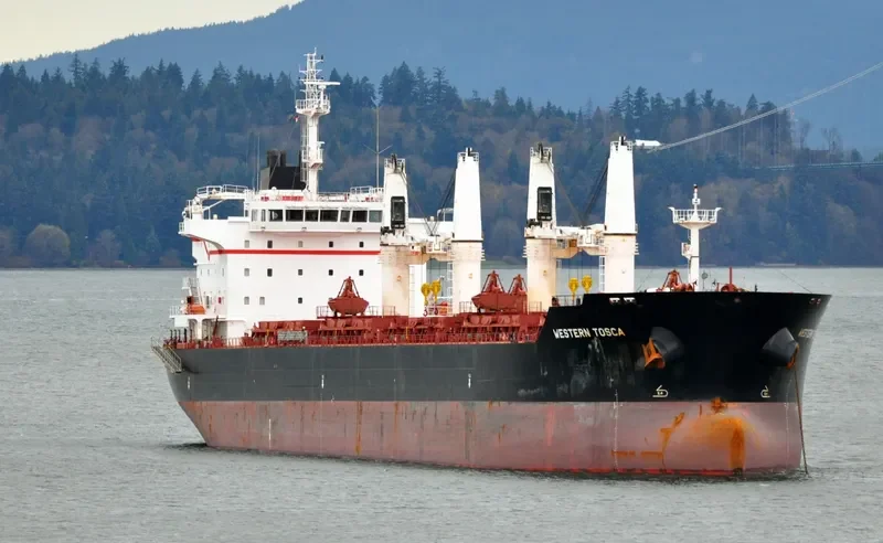 LIVERPOOL STRAIT Bulk Carrier IMO 9609718 photo 12