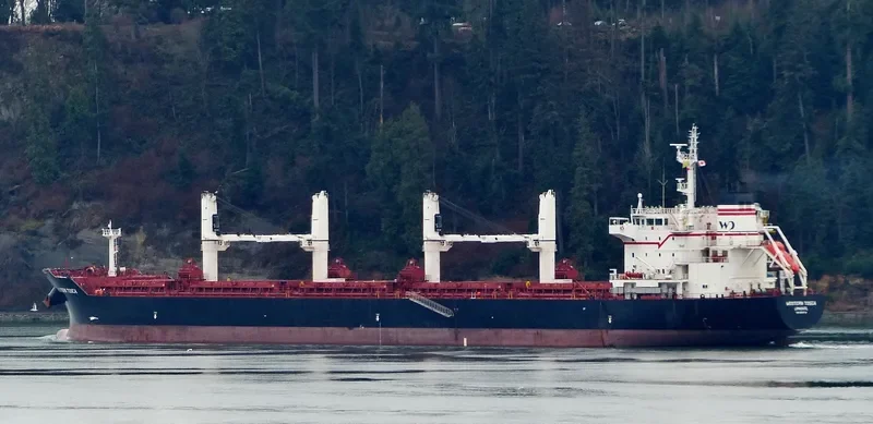 LIVERPOOL STRAIT Bulk Carrier IMO 9609718 photo 20