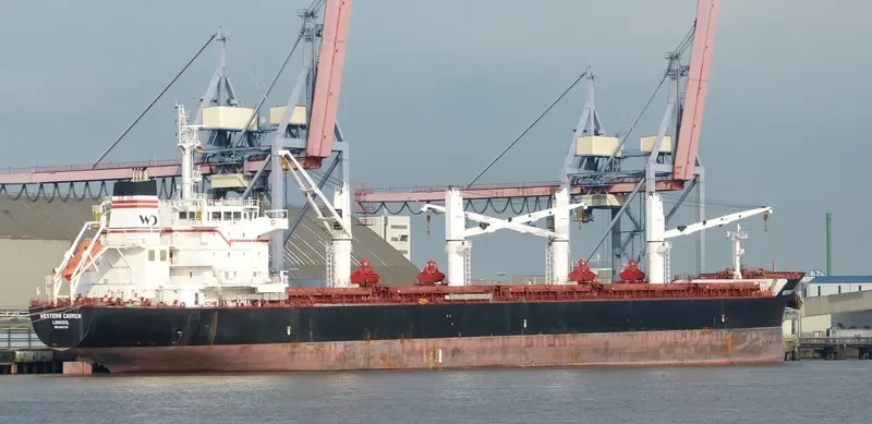 WESTERN CARMEN Bulk Carrier IMO 9609720 photo 2