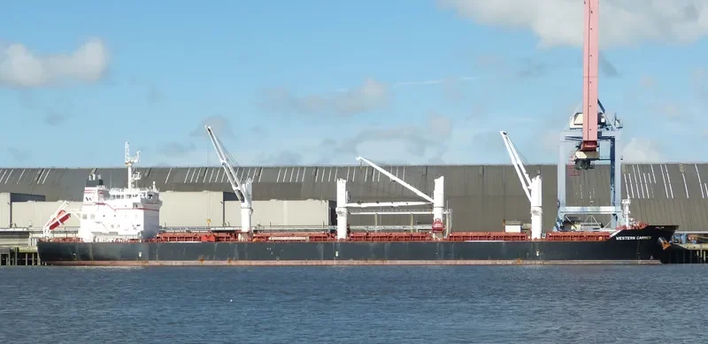 WESTERN CARMEN Bulk Carrier IMO 9609720 photo 3