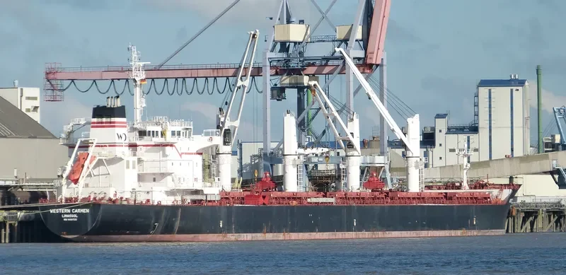 WESTERN CARMEN Bulk Carrier IMO 9609720 photo 4