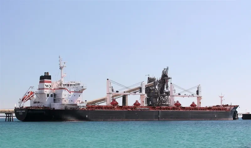 WESTERN CARMEN Bulk Carrier IMO 9609720 photo 5