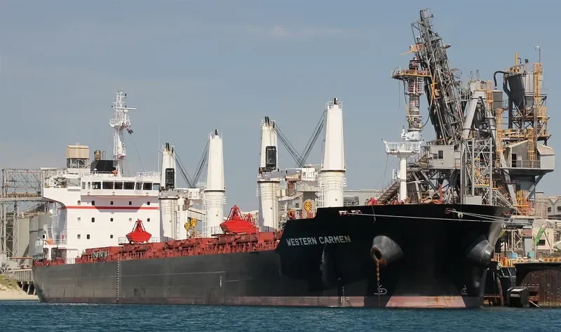WESTERN CARMEN Bulk Carrier IMO 9609720 photo 6